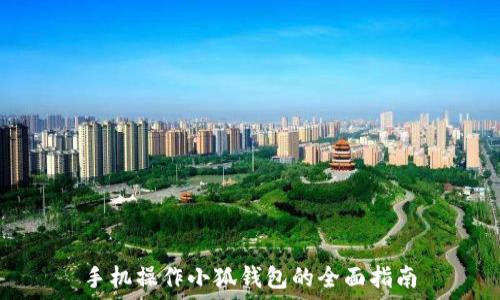   
手机操作小狐钱包的全面指南