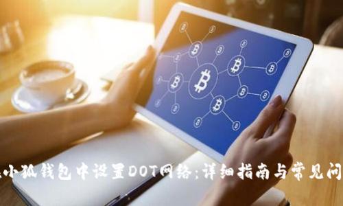 如何在小狐钱包中设置DOT网络：详细指南与常见问题解答