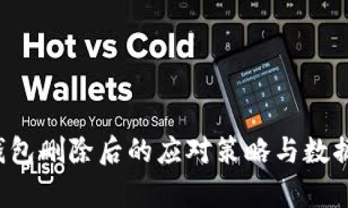  以太坊钱包删除后的应对策略与数据恢复指南