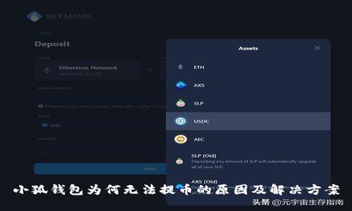 小狐钱包为何无法提币的原因及解决方案