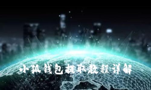 小狐钱包提取教程详解