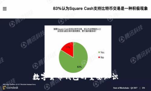 数字货币钱包的重要知识