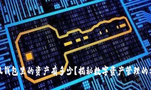 小狐钱包里的资产有多少？揭秘数字资产管理的奥秘