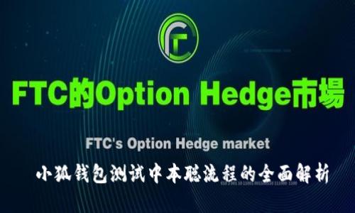  小狐钱包测试中本聪流程的全面解析
