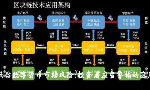 低估数字货币市场风险：投资者应当警惕的隐患