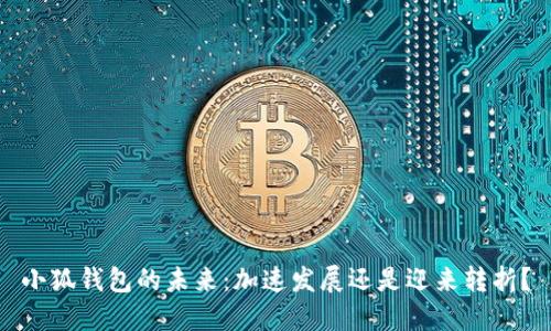 小狐钱包的未来：加速发展还是迎来转折？