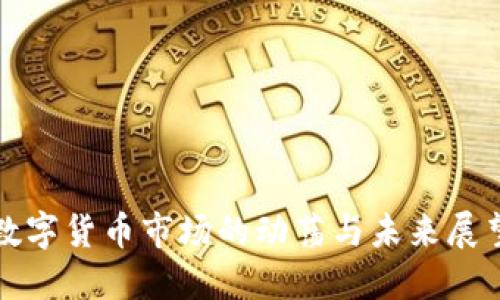数字货币市场的动荡与未来展望