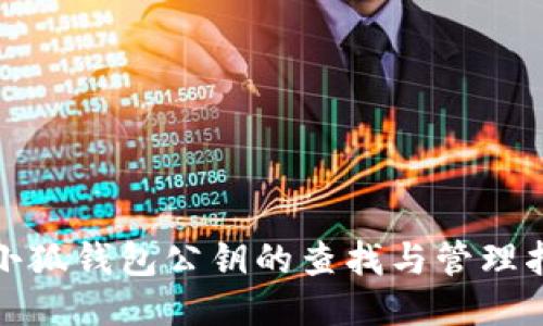 : 小狐钱包公钥的查找与管理指南