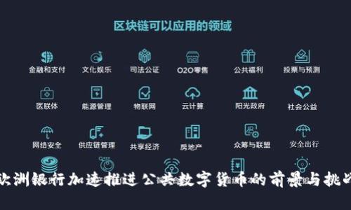 欧洲银行加速推进公共数字货币的前景与挑战