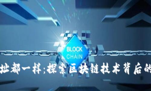 小狐钱包地址都一样：探索区块链技术背后的设计与应用