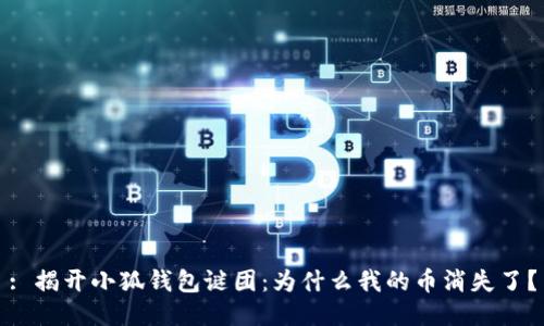 : 揭开小狐钱包谜团：为什么我的币消失了？