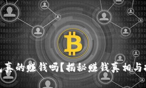 小狐钱包真的赚钱吗？揭秘赚钱真相与投资风险