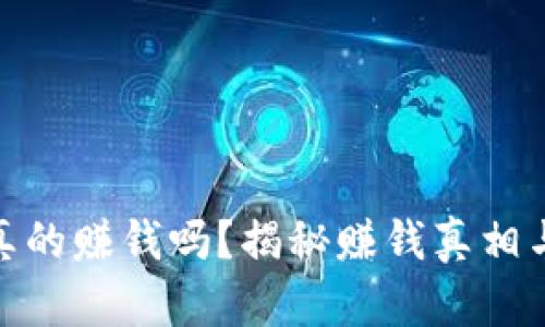 小狐钱包真的赚钱吗？揭秘赚钱真相与投资风险