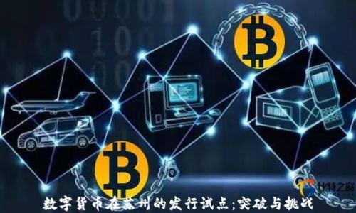 
数字货币在苏州的发行试点：突破与挑战