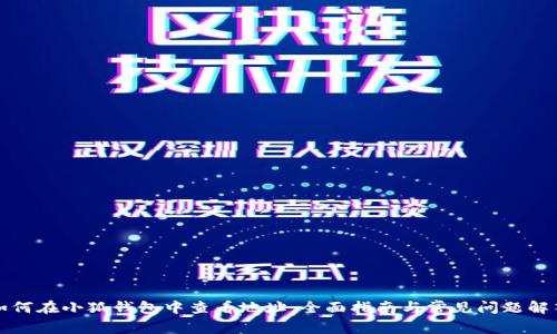 如何在小狐钱包中查看地址：全面指南与常见问题解答