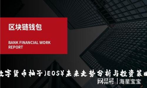 数字货币柚子（EOS）未来走势分析与投资策略
