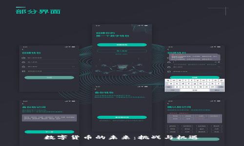 数字货币的未来：挑战与机遇