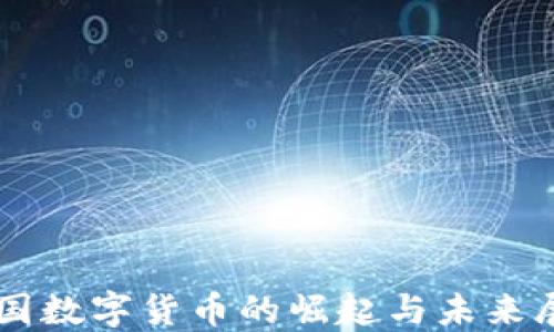 
中国数字货币的崛起与未来展望