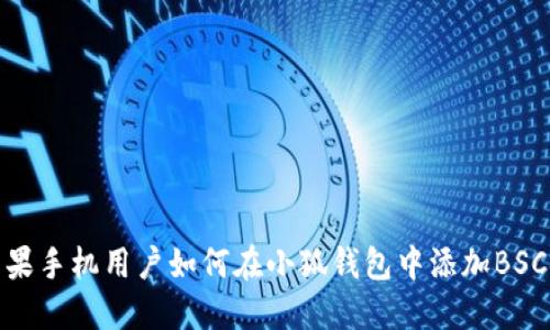 苹果手机用户如何在小狐钱包中添加BSC链