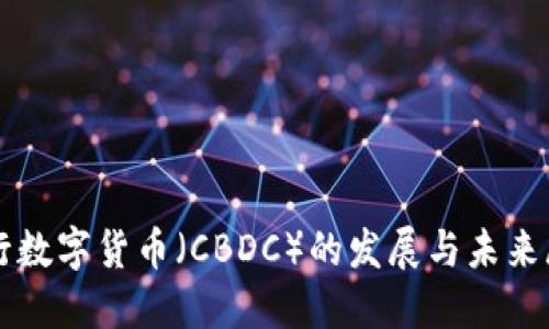 央行数字货币（CBDC）的发展与未来展望