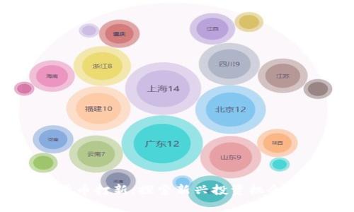 申购数字货币打新：探索新兴投资机会与风险管理