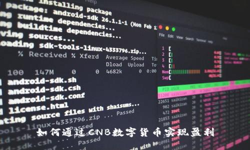 如何通过CNB数字货币实现盈利