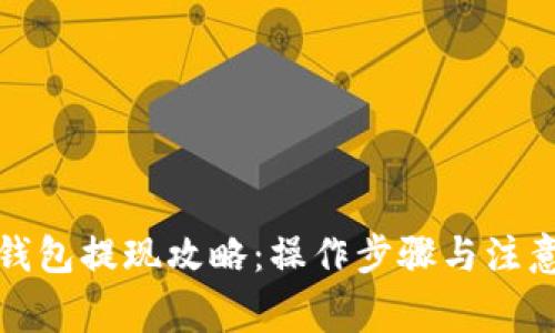 小狐钱包提现攻略：操作步骤与注意事项