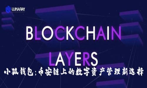 小狐钱包：币安链上的数字资产管理新选择