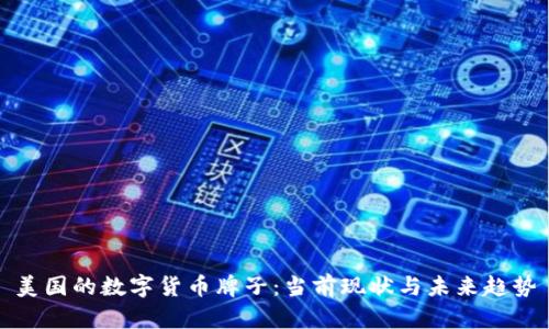 美国的数字货币牌子：当前现状与未来趋势