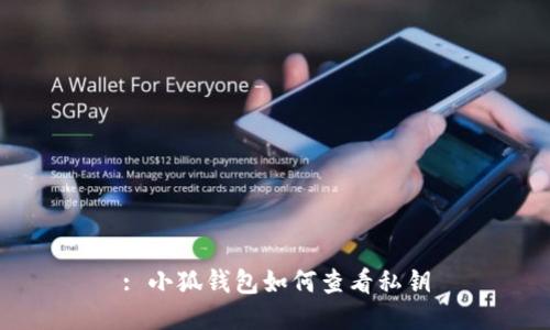 : 小狐钱包如何查看私钥