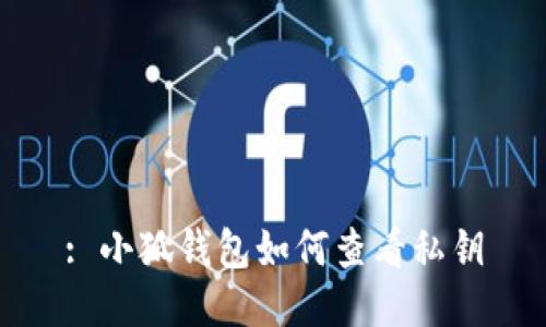 : 小狐钱包如何查看私钥