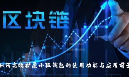 如何高效扩展小狐钱包的使用功能与应用前景