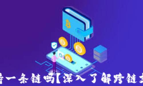 
MetaMask只支持一条链吗？深入了解跨链支持的分布式钱包