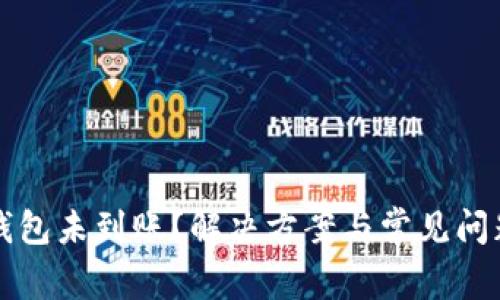 小狐钱包未到账？解决方案与常见问题解析