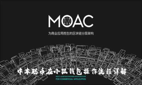 中本聪币在小狐钱包操作流程详解