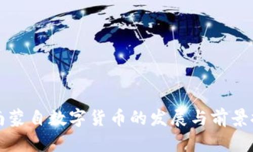 云南蒙自数字货币的发展与前景探讨