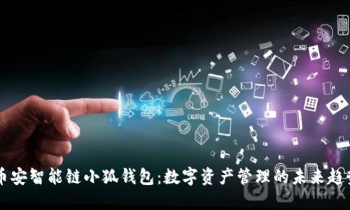 币安智能链小狐钱包：数字资产管理的未来趋势