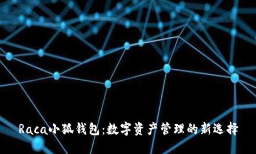 Raca小狐钱包：数字资产管理的新选择