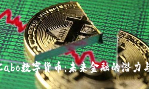 探索Cabo数字货币：未来金融的潜力与挑战