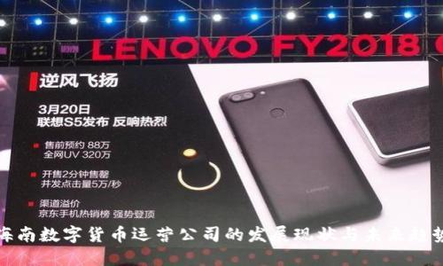 海南数字货币运营公司的发展现状与未来趋势