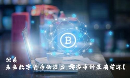 优质
未来数字货币的潜力：哪些币种最有前途？