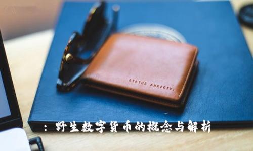 : 野生数字货币的概念与解析