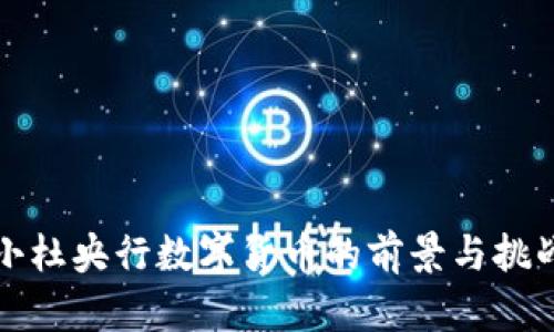 小杜央行数字货币的前景与挑战