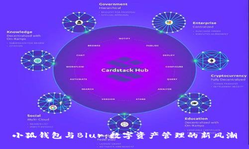 小狐钱包与Blur：数字资产管理的新风潮