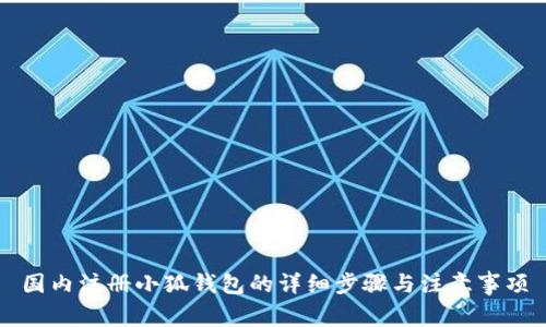 国内注册小狐钱包的详细步骤与注意事项