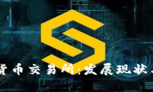 中国数字货币交易所：发展现状与未来展望