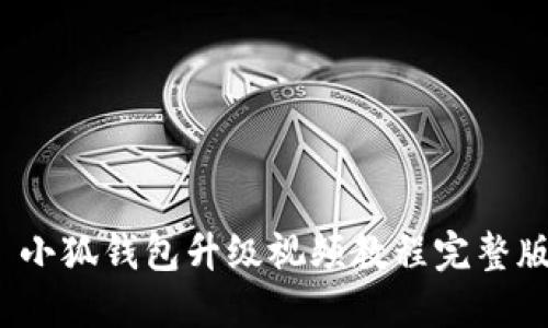  小狐钱包升级视频教程完整版