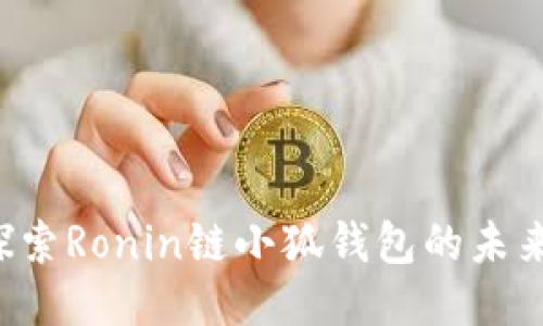  深入探索Ronin链小狐钱包的未来与潜力