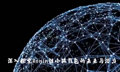  深入探索Ronin链小狐钱包的未来与潜力