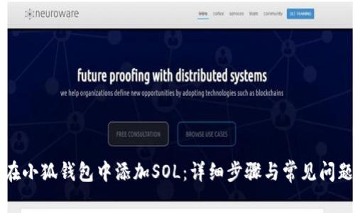 如何在小狐钱包中添加SOL：详细步骤与常见问题解答